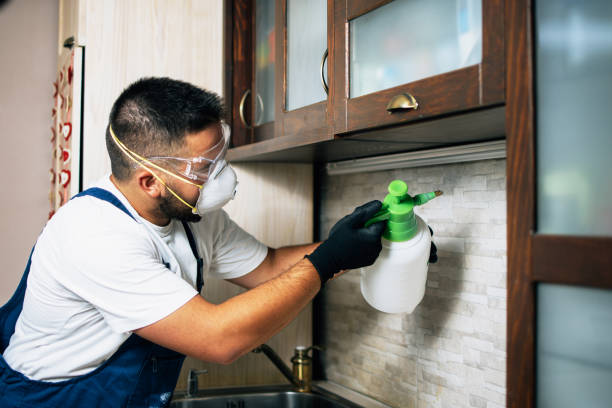 Best Insect Control  in Seeley, CA