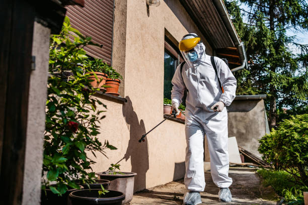 Best Pest Control for Homes  in Seeley, CA