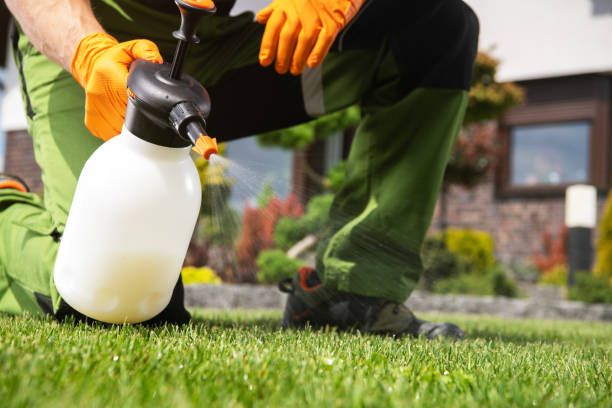 Best Exterminator Services  in Seeley, CA