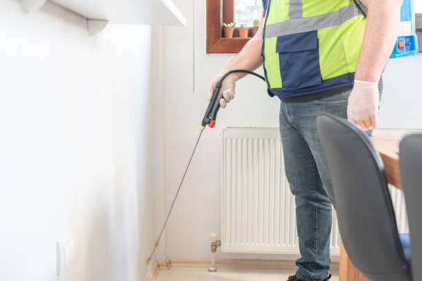Best Bed Bug Extermination  in Seeley, CA