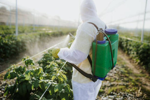 Best Flea Control Services  in Seeley, CA